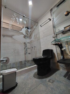 Shower, hair dryer, towels, soap