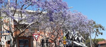 Charming Paddington terrace — 10 minutes to Sydney CBD!