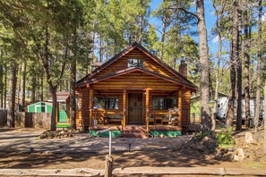 Interior - Ski, Hike & Relax: Forest-view Haven in Lakeside! (Lakeside)