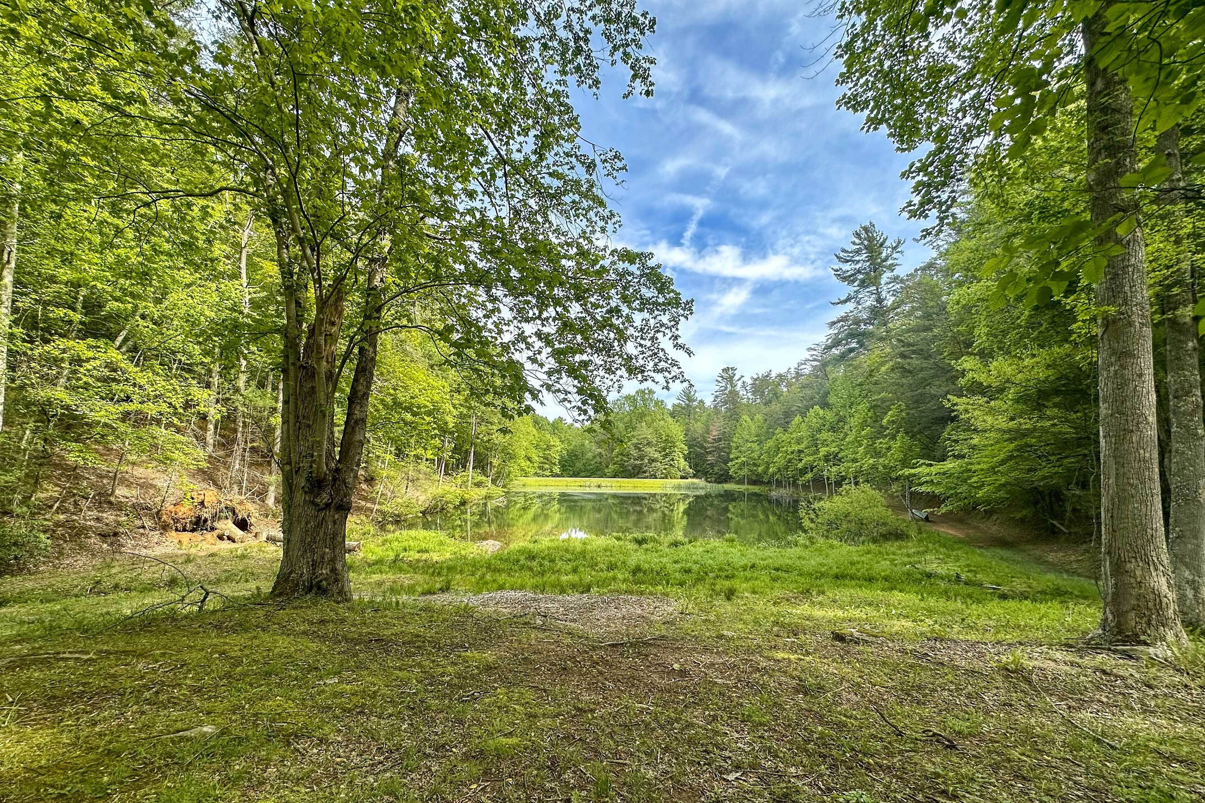 Une zone boisée avec un étang et un ciel dégagé.