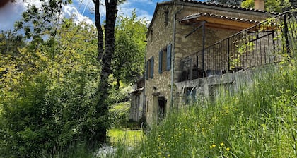 Enjoy an authentic Provencal cabanon set in a hectare with a magnificent view!