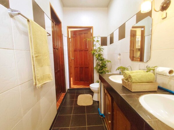 A narrow bathroom with a wooden door, a white toilet, a sink with a mirror, and a plant. - Amwani Garden Pool & Kubo Tent Rental (Puerto Princesa)
