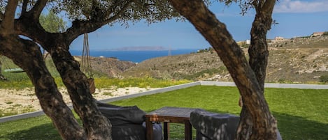 An outdoor seating area with a view of the sea, surrounded by olive trees and a grassy lawn.