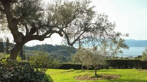 A large tree in a grassy area with a view of a lake and hills in the background. - Oka Aqua Paradise - Panoramic Seaview with Pool (Drepano)