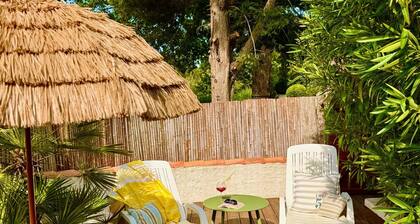 Typical Mazet in the Camargue with private terrace, surrounded by gardens