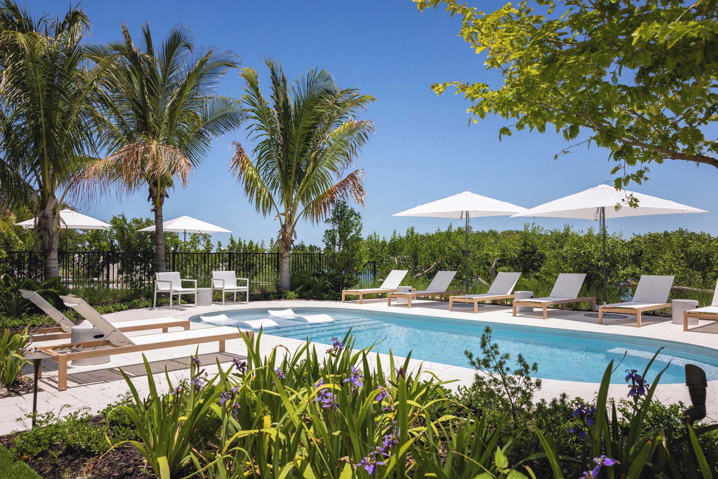 Un espace aménagé au bord de la piscine, avec des chaises longues et des parasols, entouré de palmiers et de verdure.