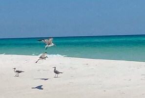 Espreguiçadeiras, toalhas de praia