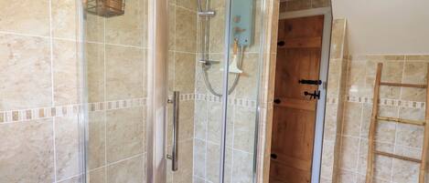 A modern bathroom with a glass-enclosed shower, a wooden door, and a bamboo ladder.