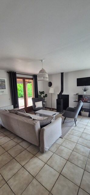 Smart TV, fireplace, books
