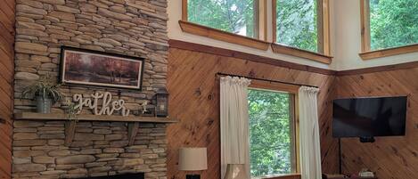 Smart TV, chimenea, libros