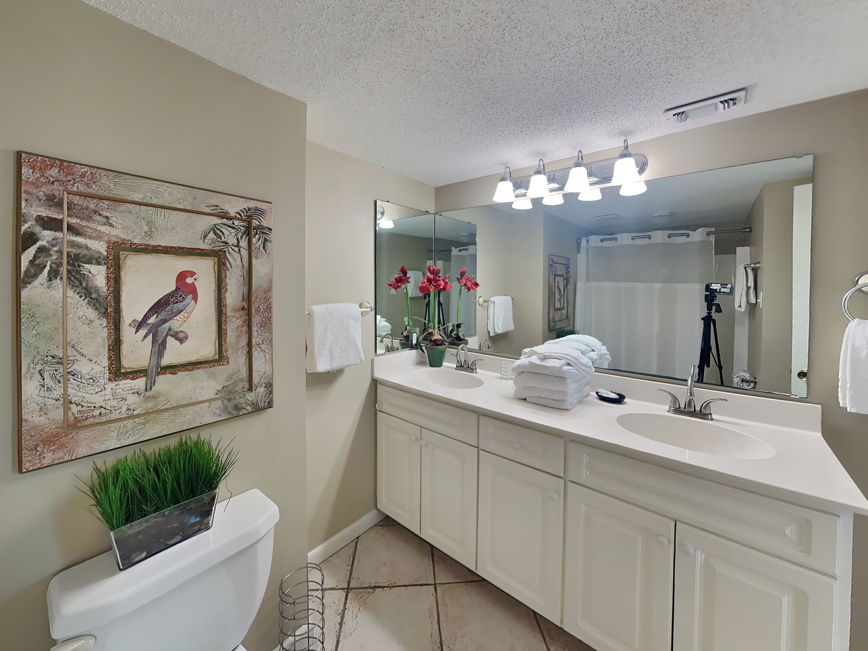 A bathroom with a large mirror, white cabinets, a toilet, and a framed picture of a bird.