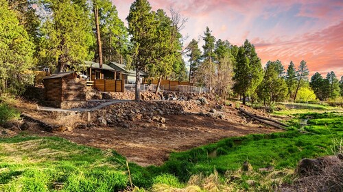 Shoreline Village Cabin 1