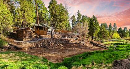 Shoreline Village Cabin 1