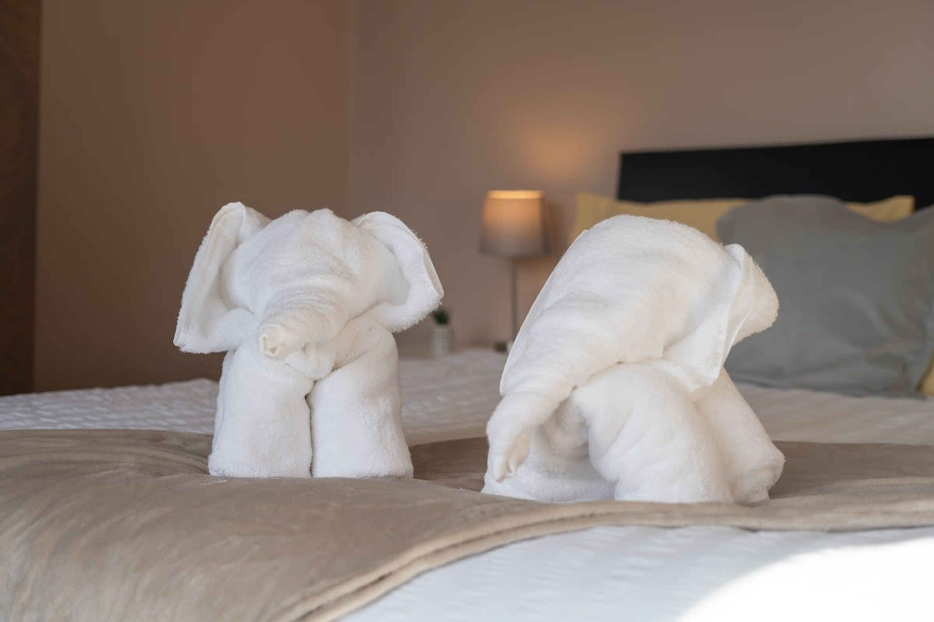 A bed with two white towel sculptures of elephants, a bedside lamp, and a headboard.