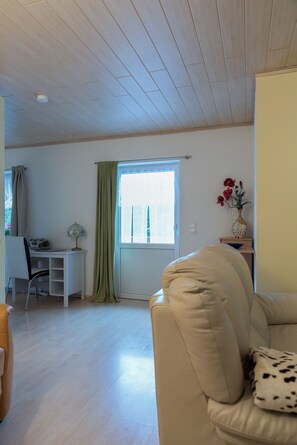 Televisión y libros 