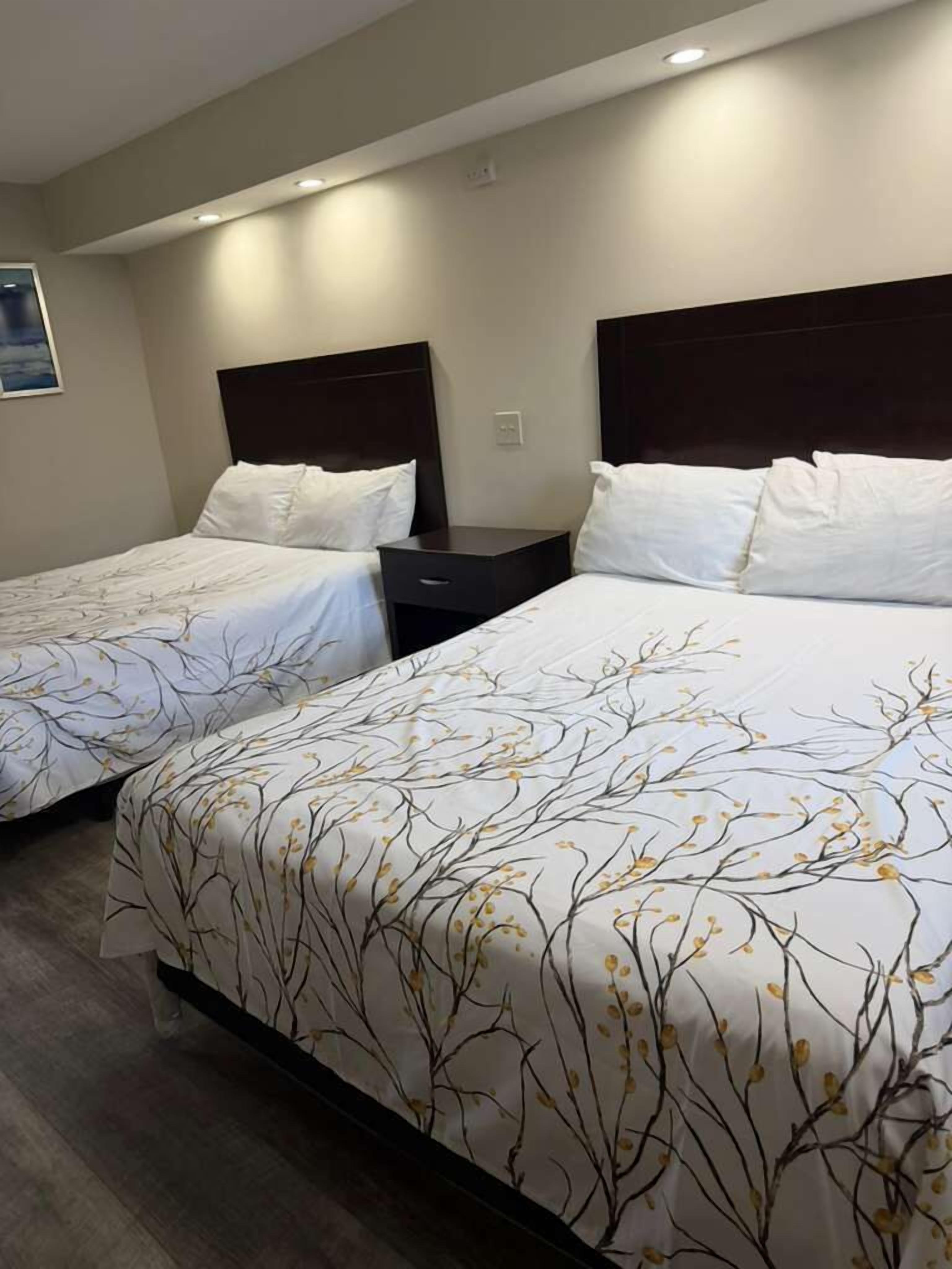 Habitación de hotel con dos camas, cada una con cabecero oscuro y ropa de cama blanca.
