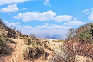 Beach - Secluded dog-friendly retreat with beach access (Holland)