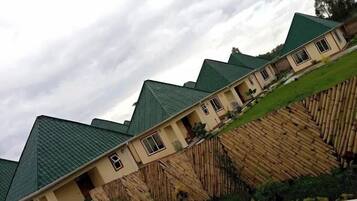 A row of houses with green roofs and a bamboo fence.