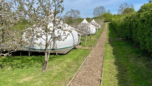 Una hilera de yurtas blancas con un sendero de grava que las conduce, rodeadas de vegetación y árboles.