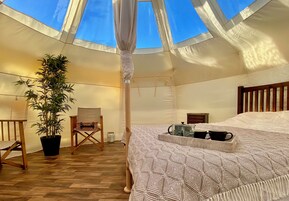 1 habitación 