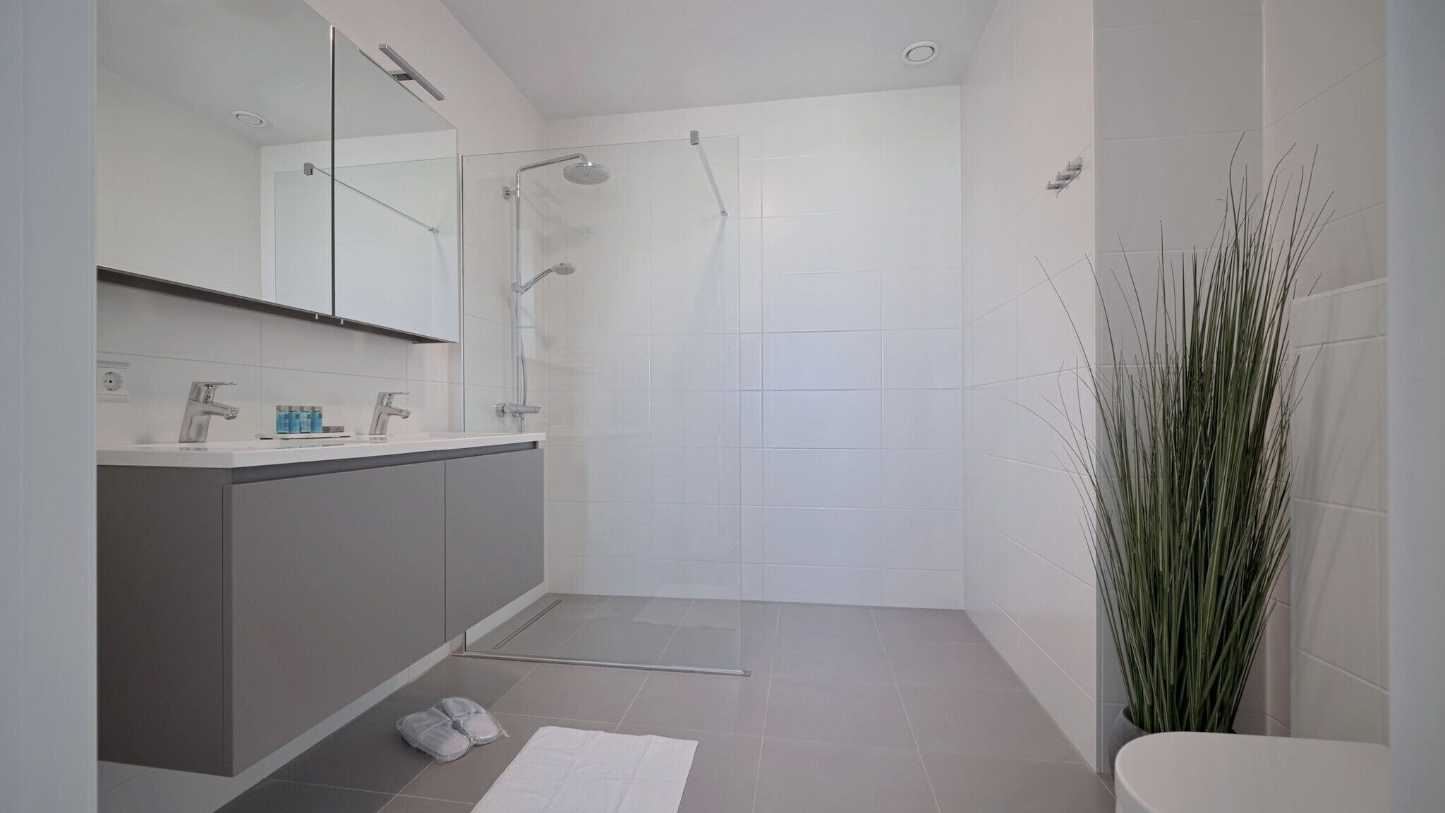 A modern bathroom with a glass-enclosed shower, a vanity with a mirror, and a potted plant.