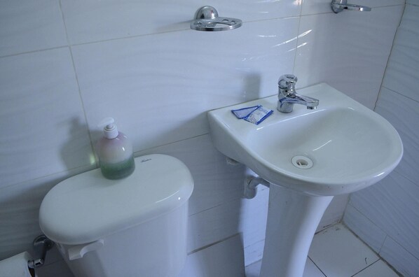 Een badkamer met een wit toilet, een wastafel en een douchekop.