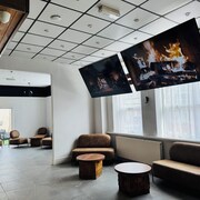 Hotels 247
