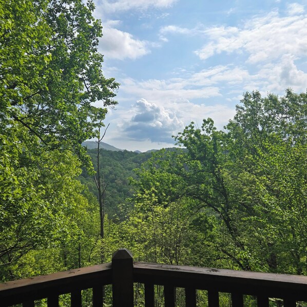 Property grounds - Cozy Cabin, Large Deck and Private Hot Tub (Sevierville)