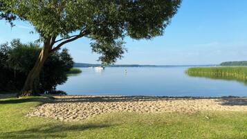 A lakeside view with a sandy beach, a large tree, and calm water.