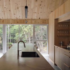 A modern kitchen with a large island, wooden ceiling, and large windows offering a forest view.