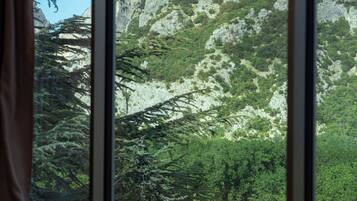 Suíte real, vista para a montanha | Vista para a montanha