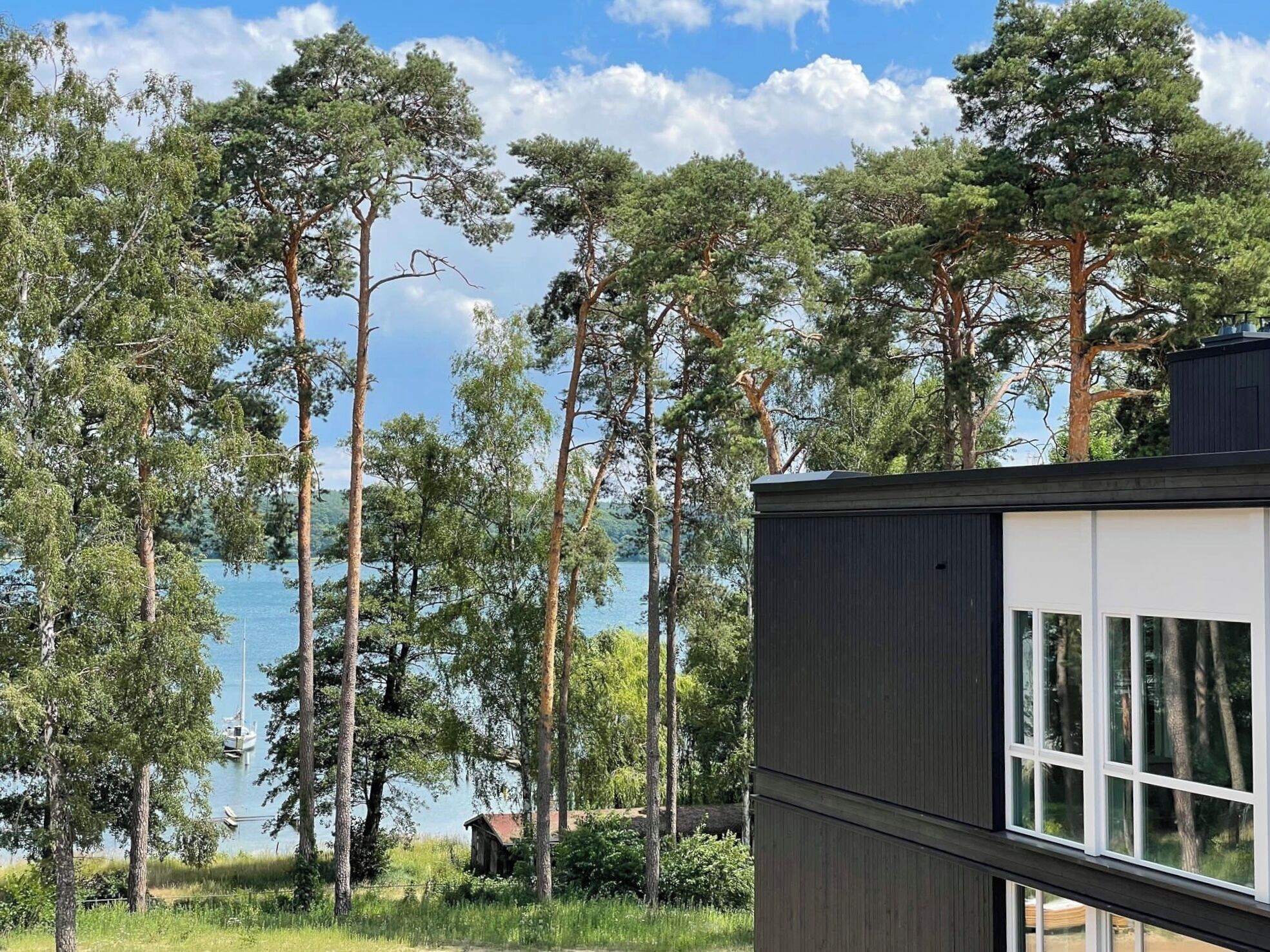 En modern byggnad med stora fönster som vetter mot en sjö och höga träd.