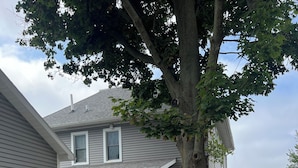 A two-story house with a covered porch, a large tree in front, and a view of a body of water in the background. - Charming Beachfront 4-bedroom cottage with WiFi, AC in Coldwater (Coldwater)