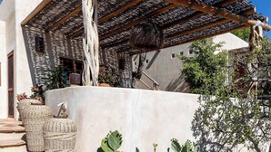 A building with a thatched roof, stone steps, and cacti in the foreground.