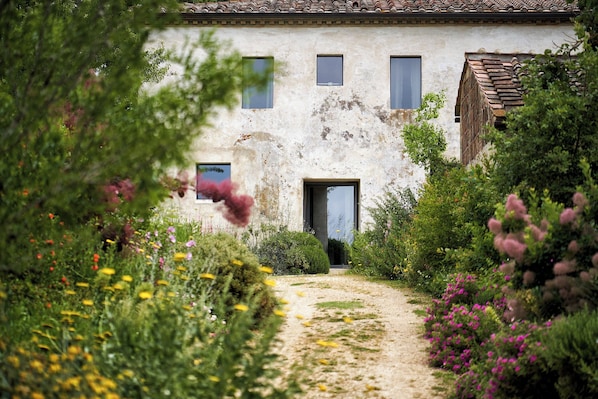 Détail de l’extérieur