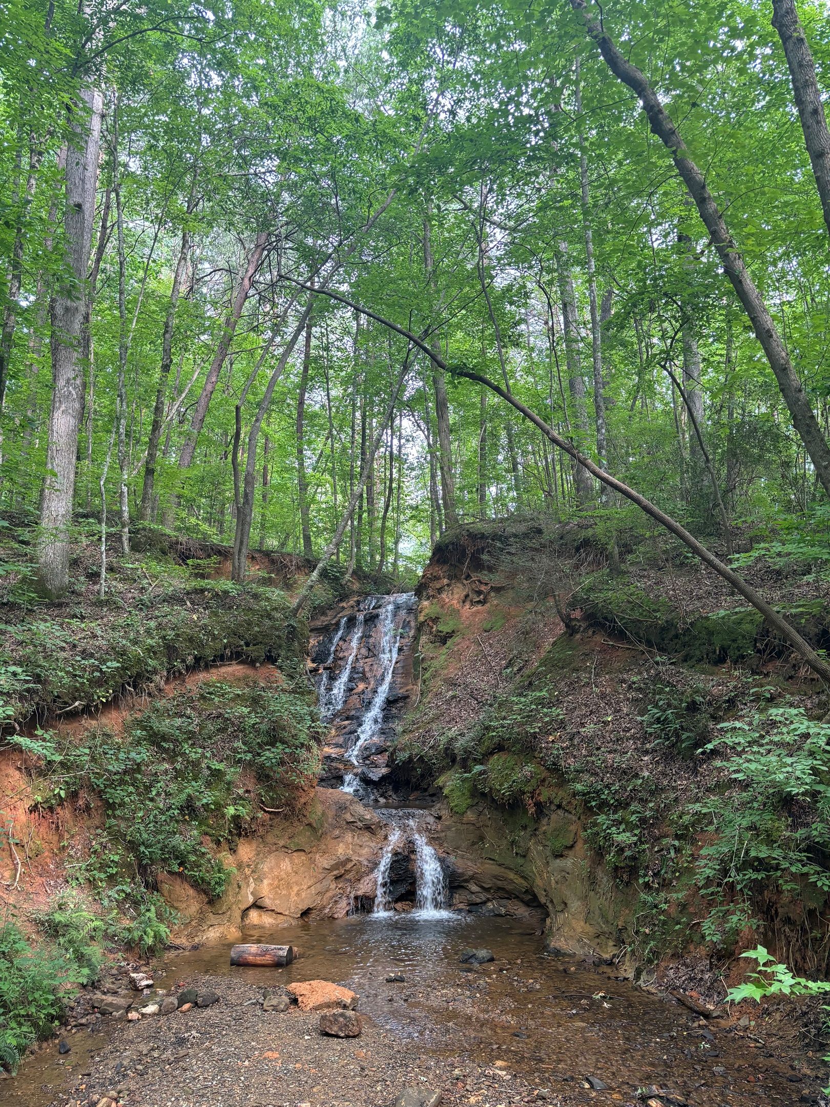 A waterfall in a forested area with rocky terrain and dense greenery.