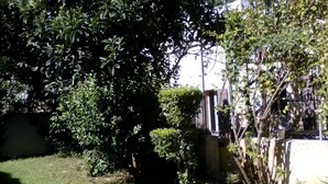 A garden area with dense foliage and a stone wall. - Cozy studio with air conditioning; secure parking; countryside near the city (Avignon)