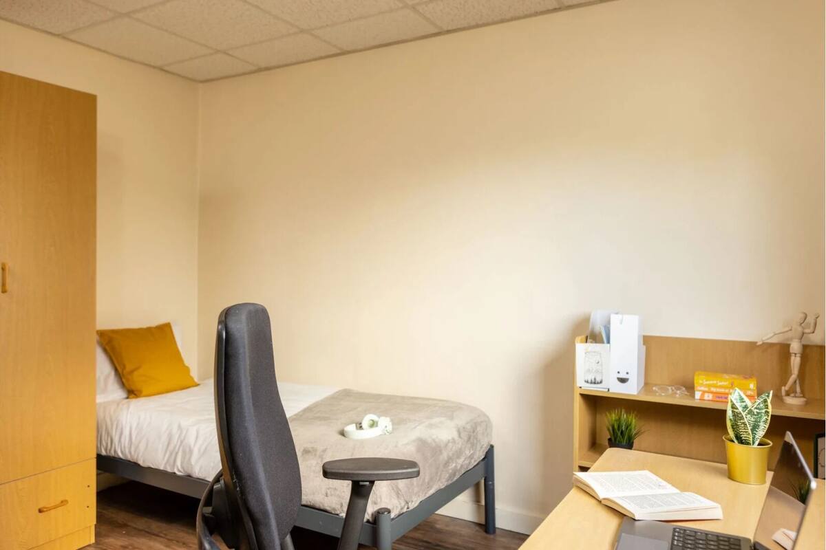 Una camera d'albergo compatta con un letto singolo, una scrivania con un portatile, una sedia, un piccolo ripiano con libri e una pianta, e un armadio.
