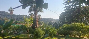 Three-room apartment in the right location in Elba