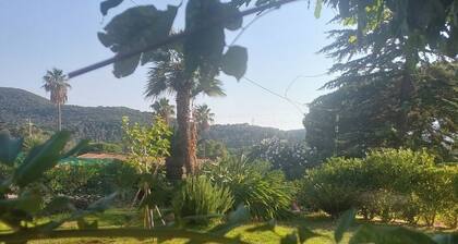 Three-room apartment in the right location in Elba