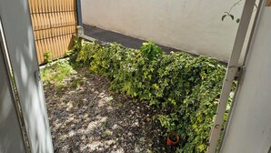A narrow outdoor space with a gravel path, a white wall, and a wooden fence.