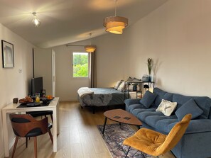 Smart TV, stereo - The studio with its large, unoverlooked terrace, in a quiet location with private parking (Saint-Estève)