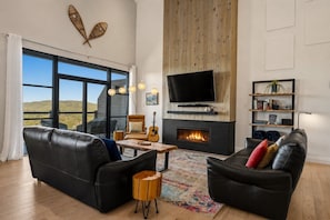 TV connectée, cheminée, livres, chaßne hi-fi
