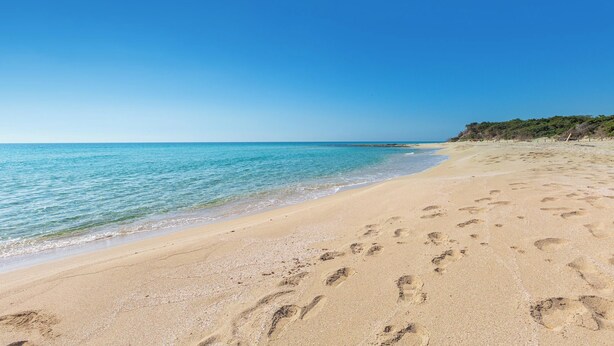 Una playa arenosa con huellas que conducen al agua, cielo despejado y una costa distante.