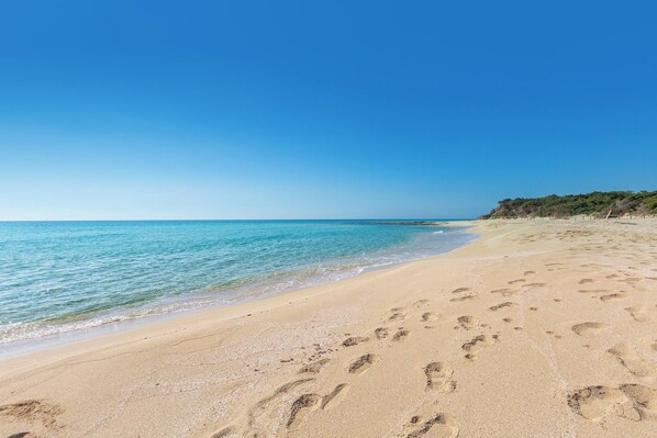 Nära stranden