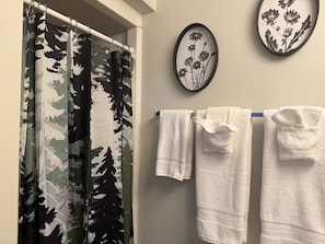 Interior - Cozy King + Queen Suite | Near Golf, Lake & Marina (Apple River)