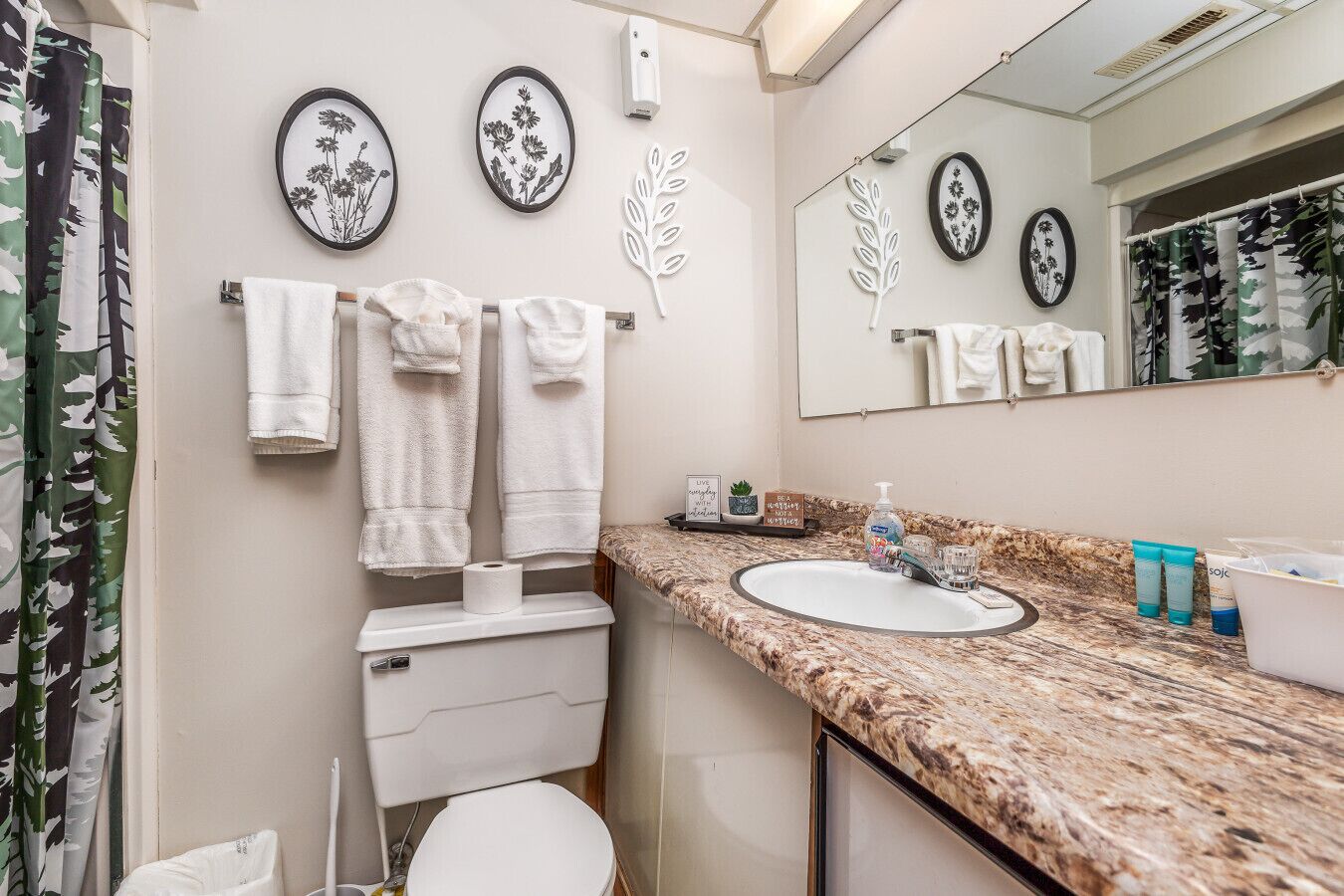 Secadora de cabello, toallas, papel de baño 