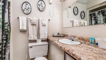 Hair dryer, towels, toilet paper