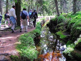 Vista desde la propiedad