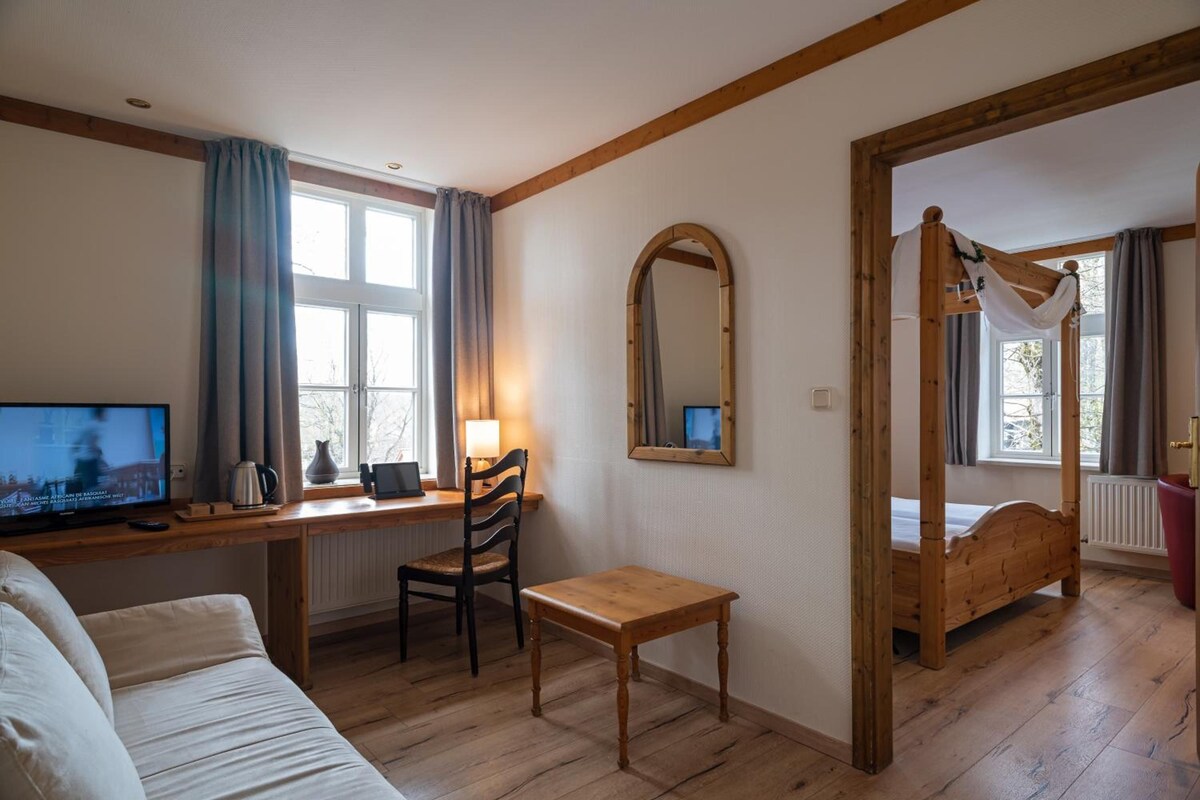 Ein Zimmer mit Holztisch, Stuhl, Bett, Spiegel und Fernseher.